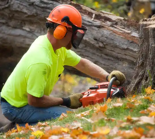 tree services Loch Lynn Heights